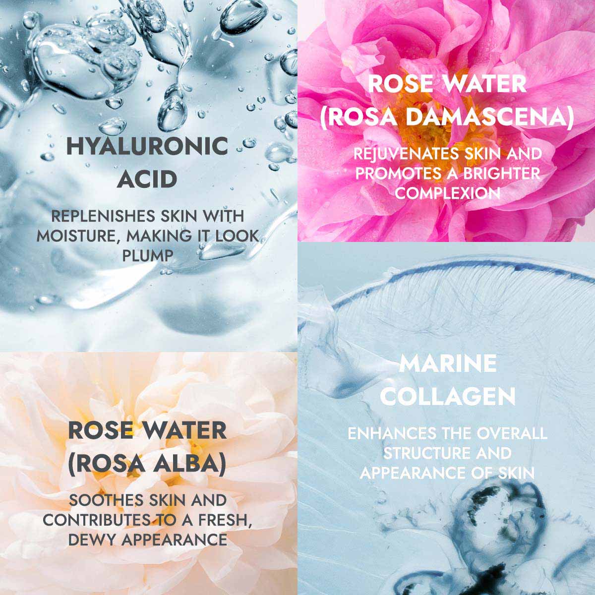 hyaluronic acid, eose water, marine collage