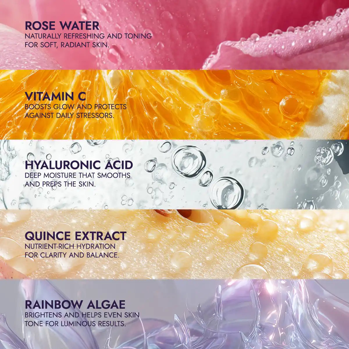 key Ingredients for luminous rose vitamin c and hyaluronic acid rose water hydro toner