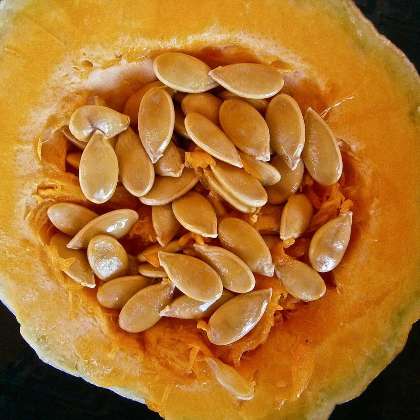 OGANIC-PUMPKIN-SEED-OIL