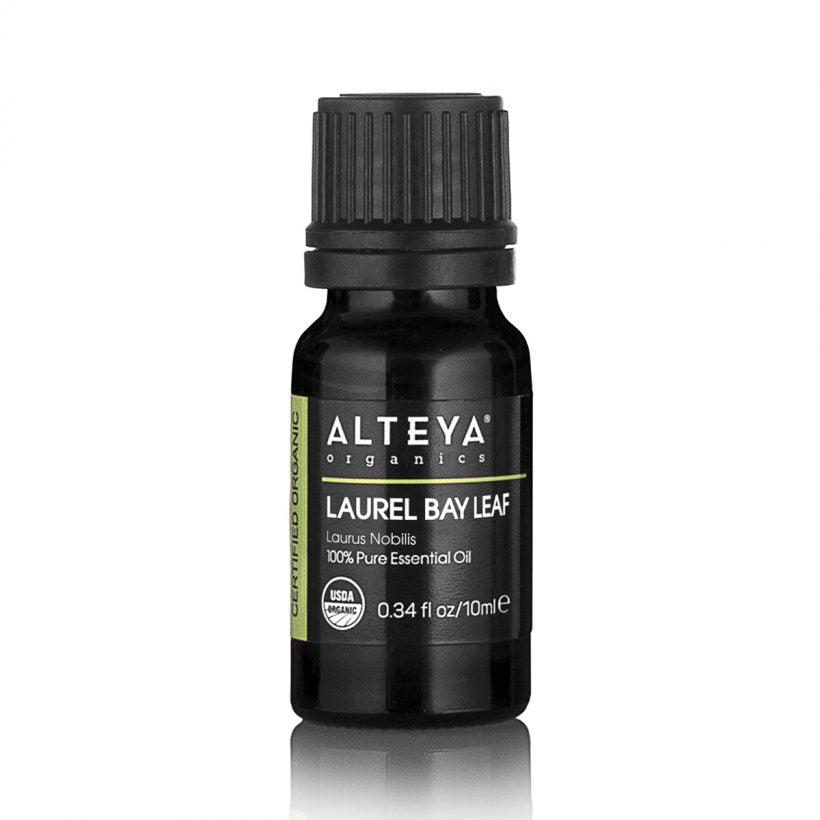 Laurel Leaf essential oil has fresh, strong, camphoraceous aroma. It is considered warming and energizing essential oils widely cherished for its medicinal properties. It is often used topically – to support the immune system, and for aromatherapy – to give courage, improve focus and uplift the senses.