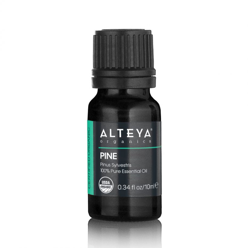 Used in aromatherapy, Pine essential oil has a positive effect on mood, clearing the mind and energizing the body. It is also known to enhance concentration. Therapeutically, Pine essential oil can be used to support immune function, clear the airways, relieve the unpleasant symptoms of colds, coughs, or sinusitis.