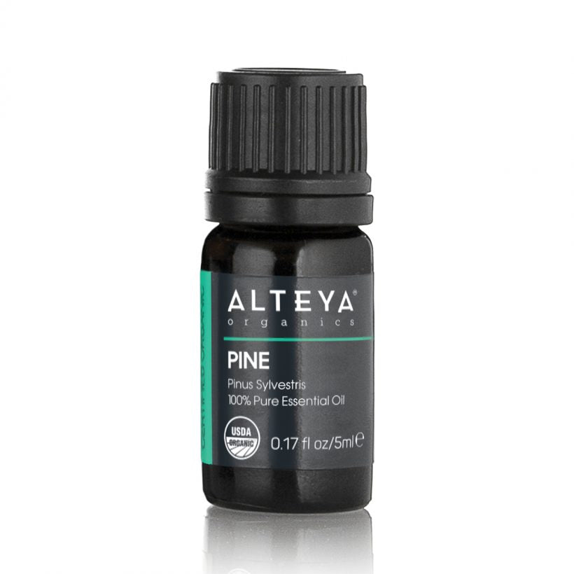 Our Bulgarian Pine tree essential oil (also known as Scotch pine) is produced by steam distilling the needles and twigs of the Pinus sylvestris evergreen tree. This oil has clear fresh warm woody piney aroma.