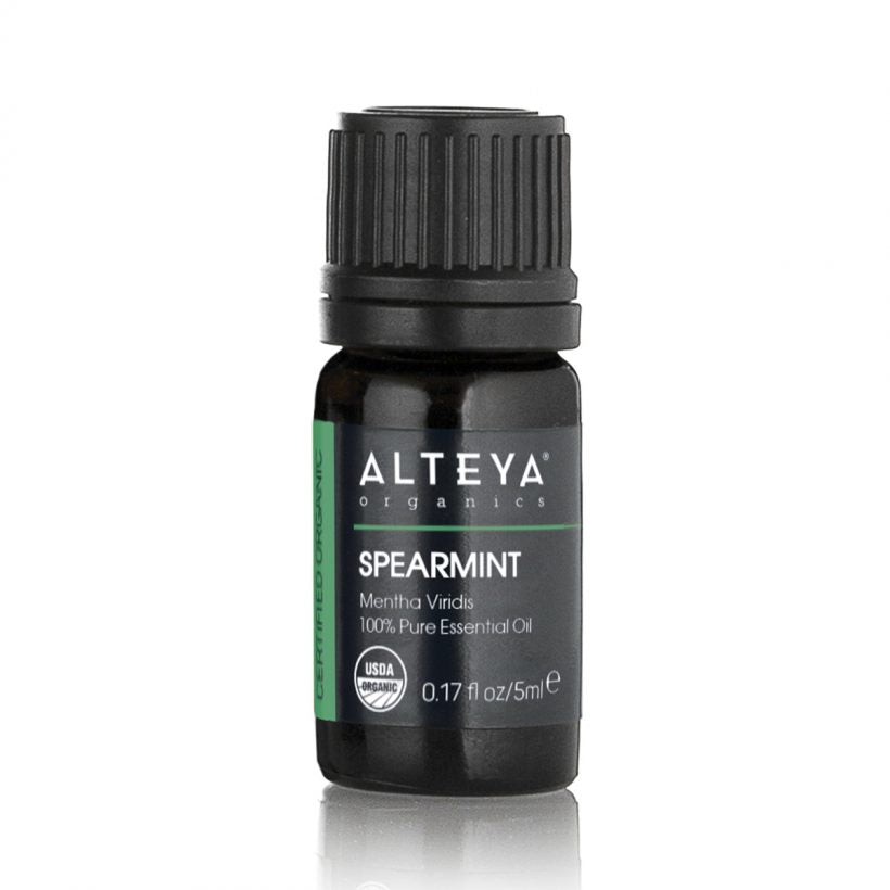 Spearmint is a member of the mint family. Its name comes from the shape of its leaves which resemble spears. The aroma of spearmint is very sweet, minty, and powerful; it is rather sweeter and softer than peppermint. 