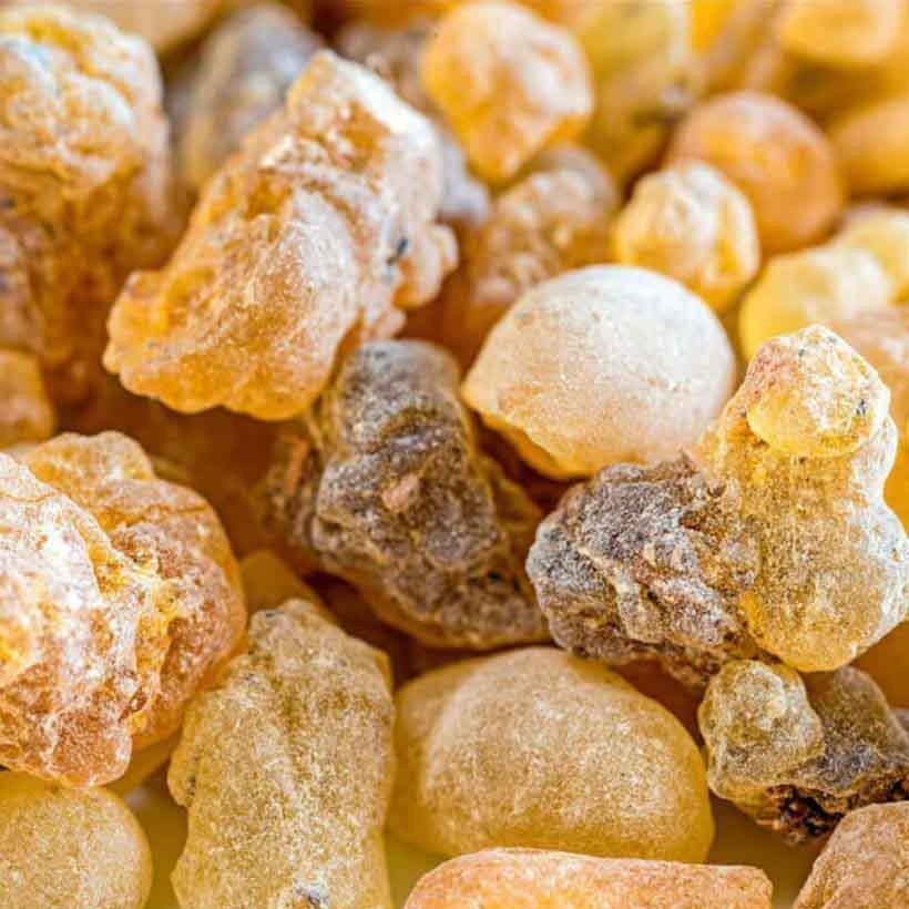 Organic-Frankincense-Oil-Boswellia-Carterii