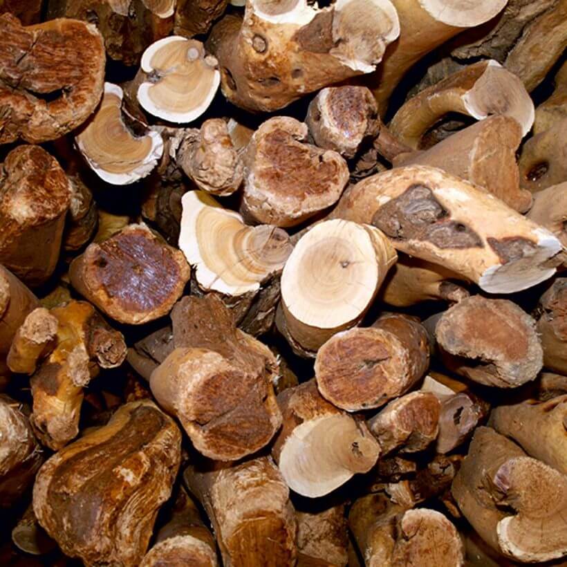 Organic-Sandalwood-Oil