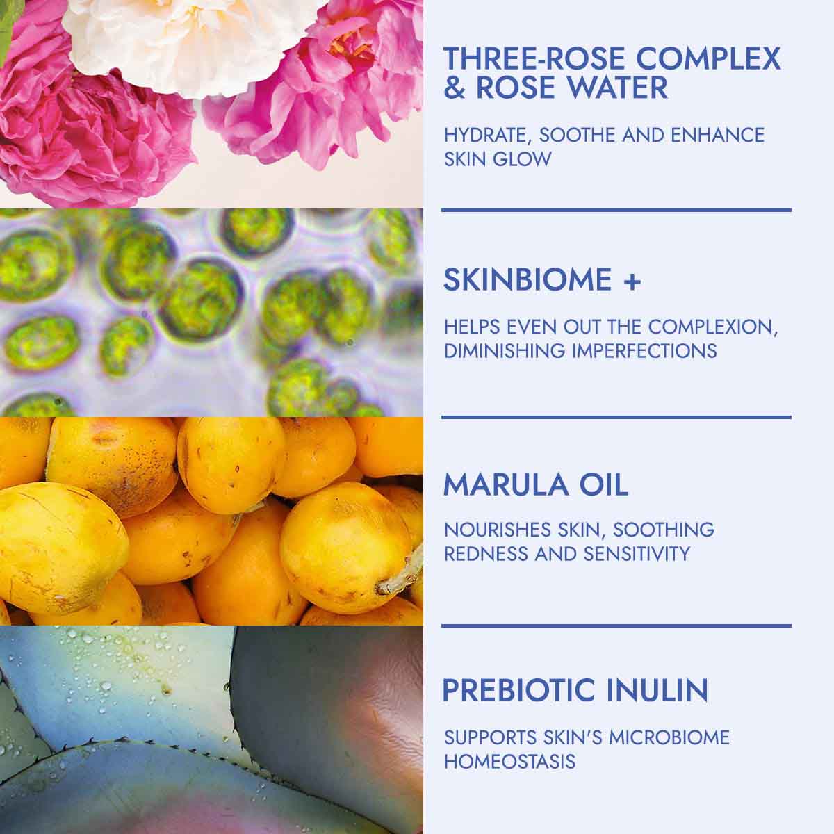 rose hydrobiome cleanser