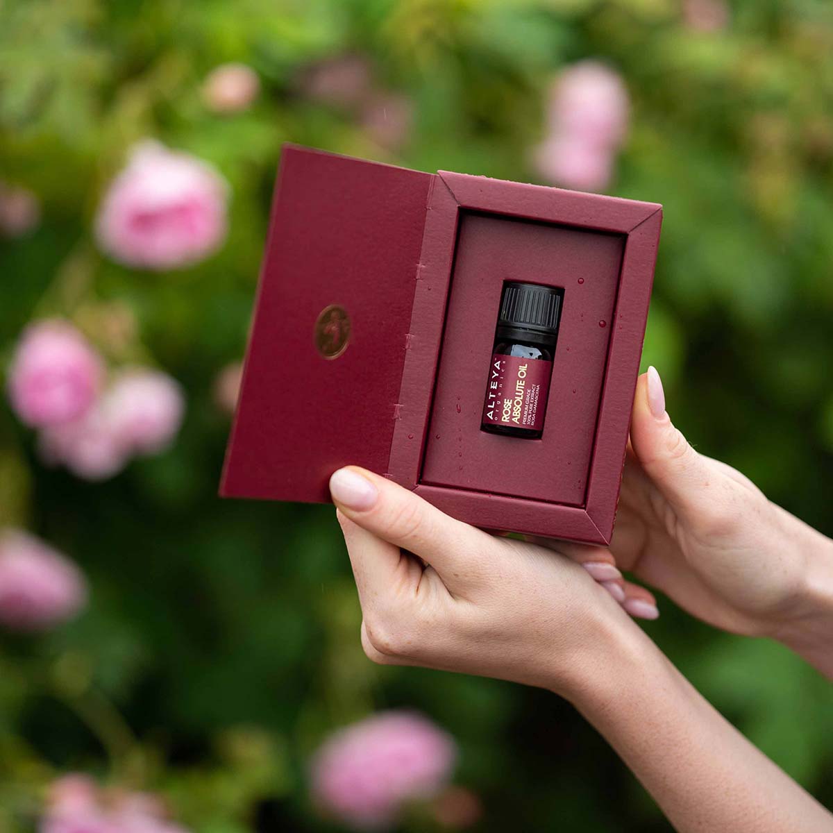 Rose Absolute oil is also used for cosmetic purposes. Suitable for all skin types. It is known for its highly moisturizing and overall rejuvenating effect on the skin. This makes it especially beneficial for mature or dry skin. It can also provide relief for irritated or inflamed skin.