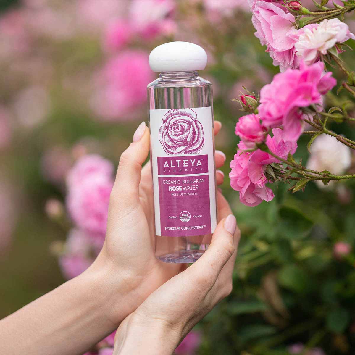 bulgarian-rose-water-250ml-in-water-alteya-organics