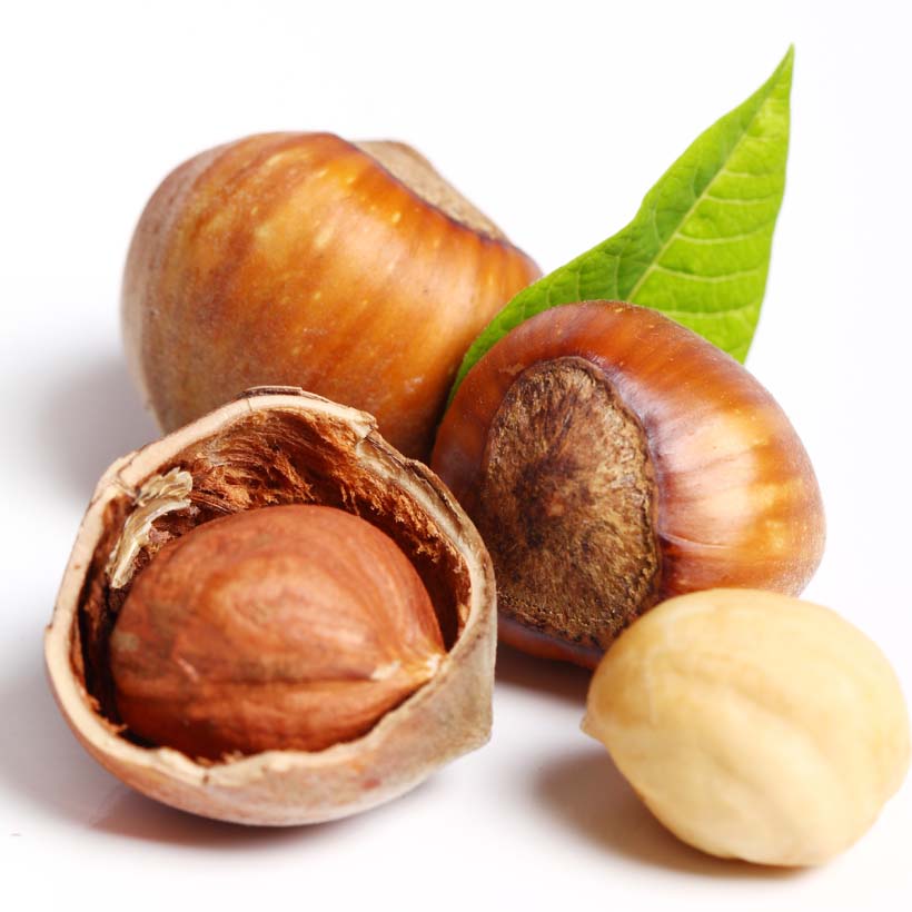 organic-hazelnut-oil