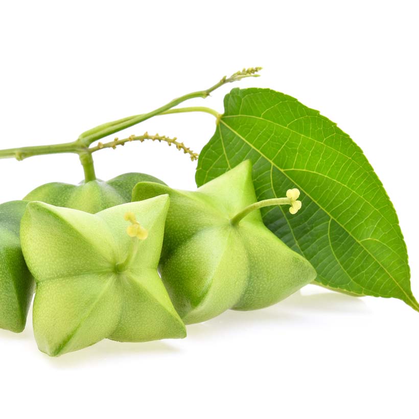 organic-sacha-inchi-seed-oil