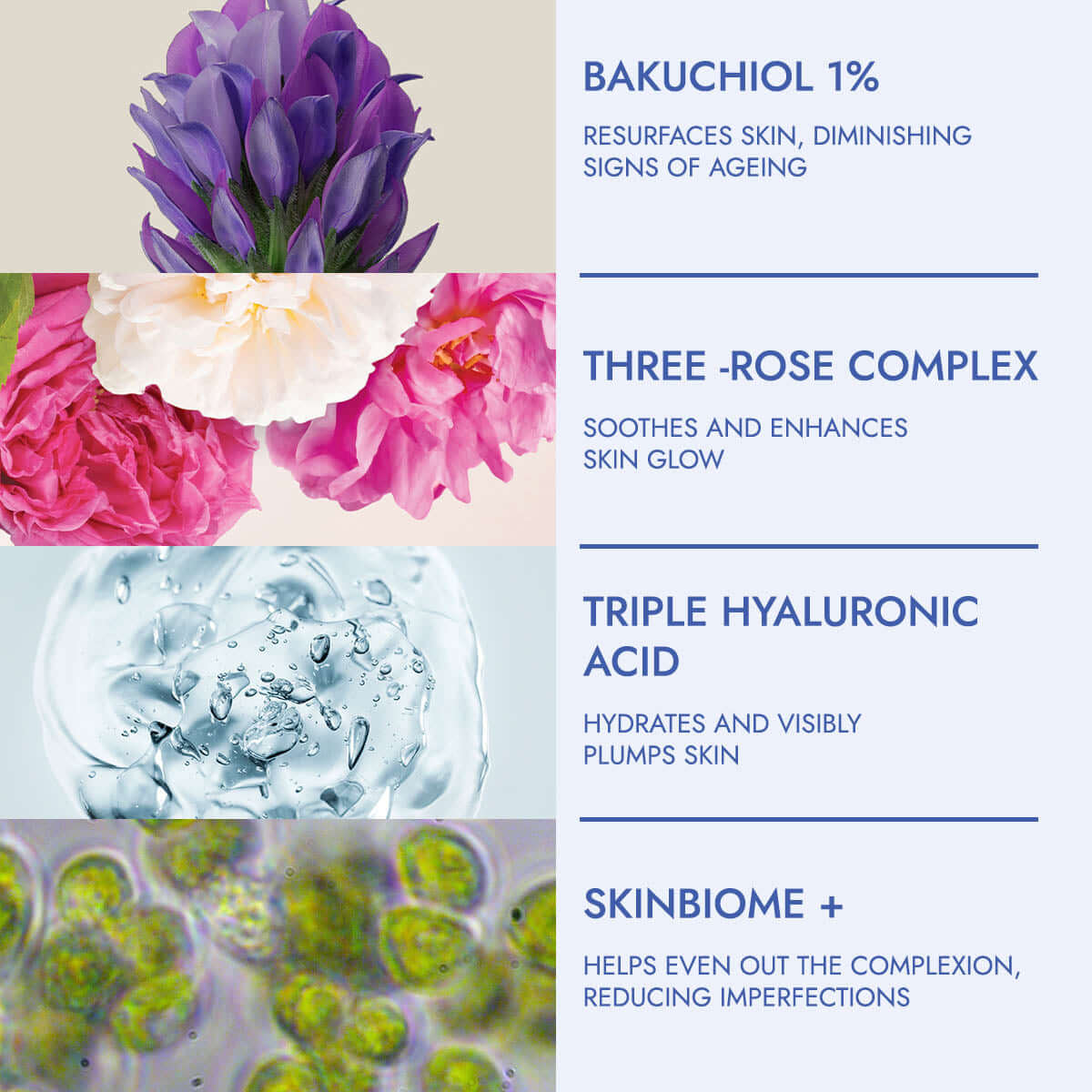 rose hydrobiome skin renewal face mask