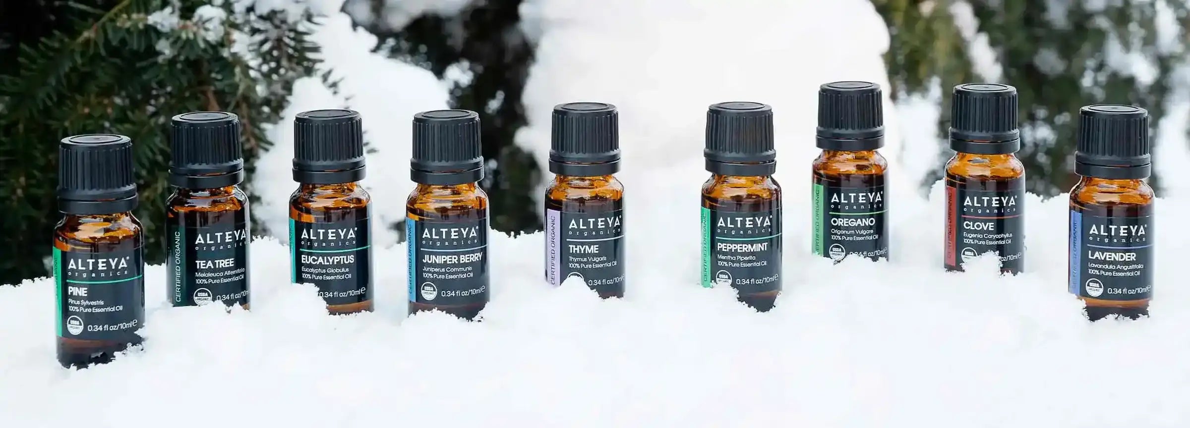 Top 10 essential oils to use in a diffuser