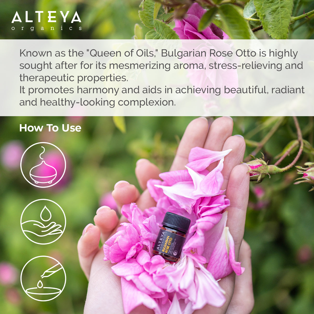 Alteya-organics-rose-oil-expertly-rose-otto-crafted
