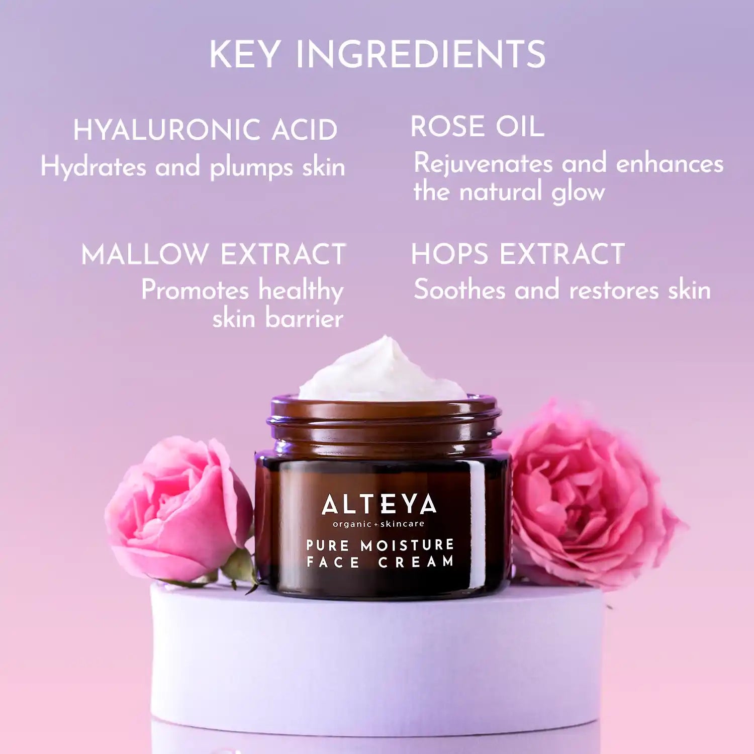 Luminous rose Cream Key Ingredients