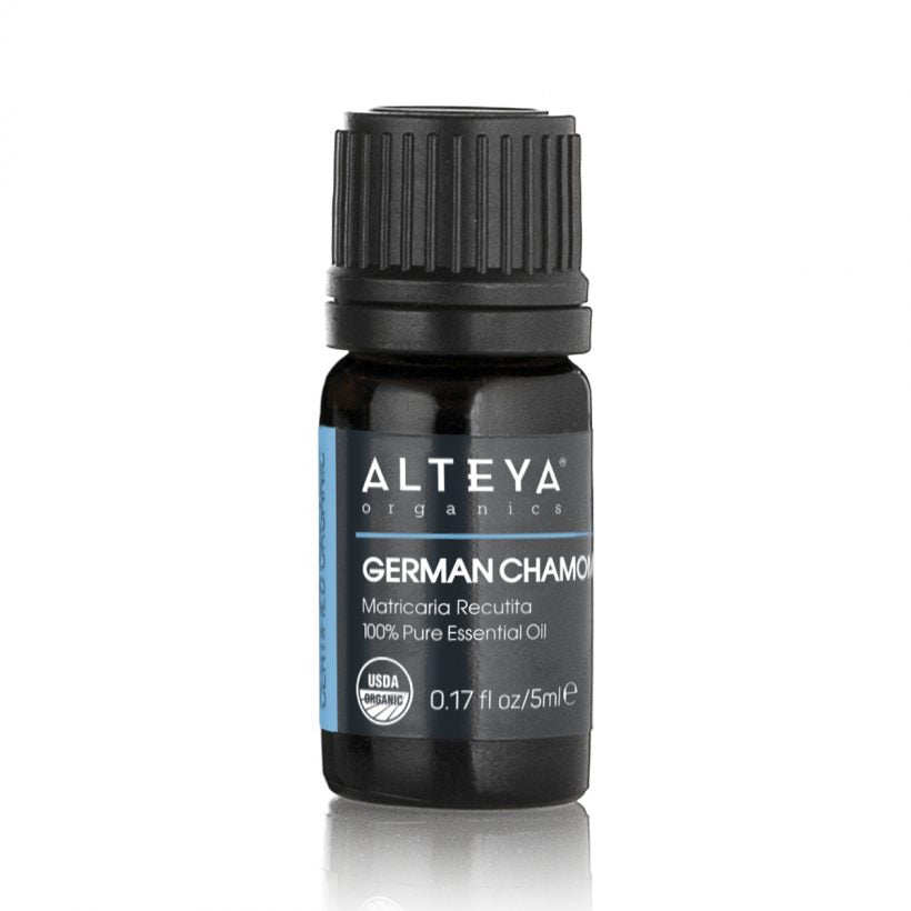 German chamomile essential oil is obtained by steam distillation of the flowers of the Matricaria Recutita plant. It is an inky blue-greenish liquid with strong sweet, herbaceous, herbal aroma with a slightly bitter note.  German chamomile oil is best known for its powerful anti-inflammatory properties.