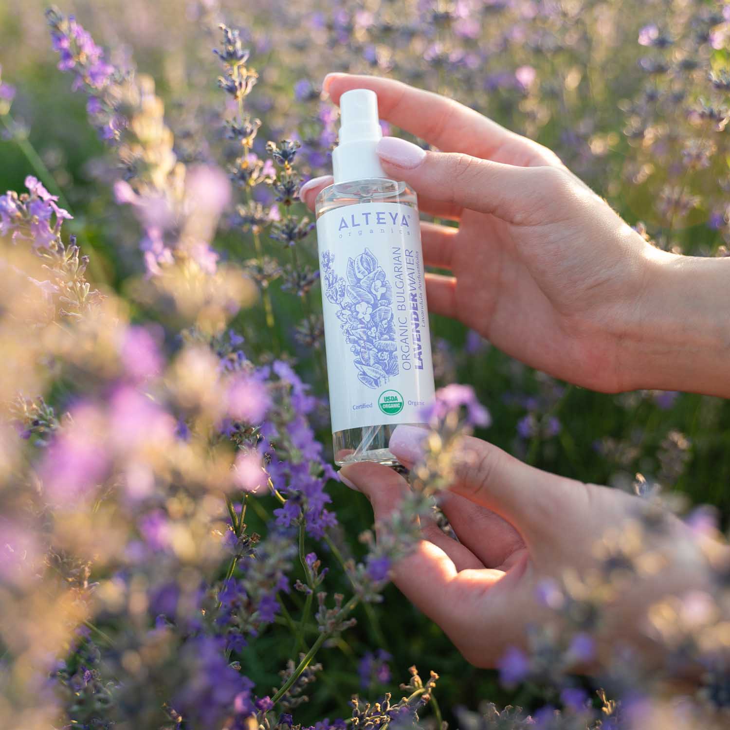 lavender water alteya organics