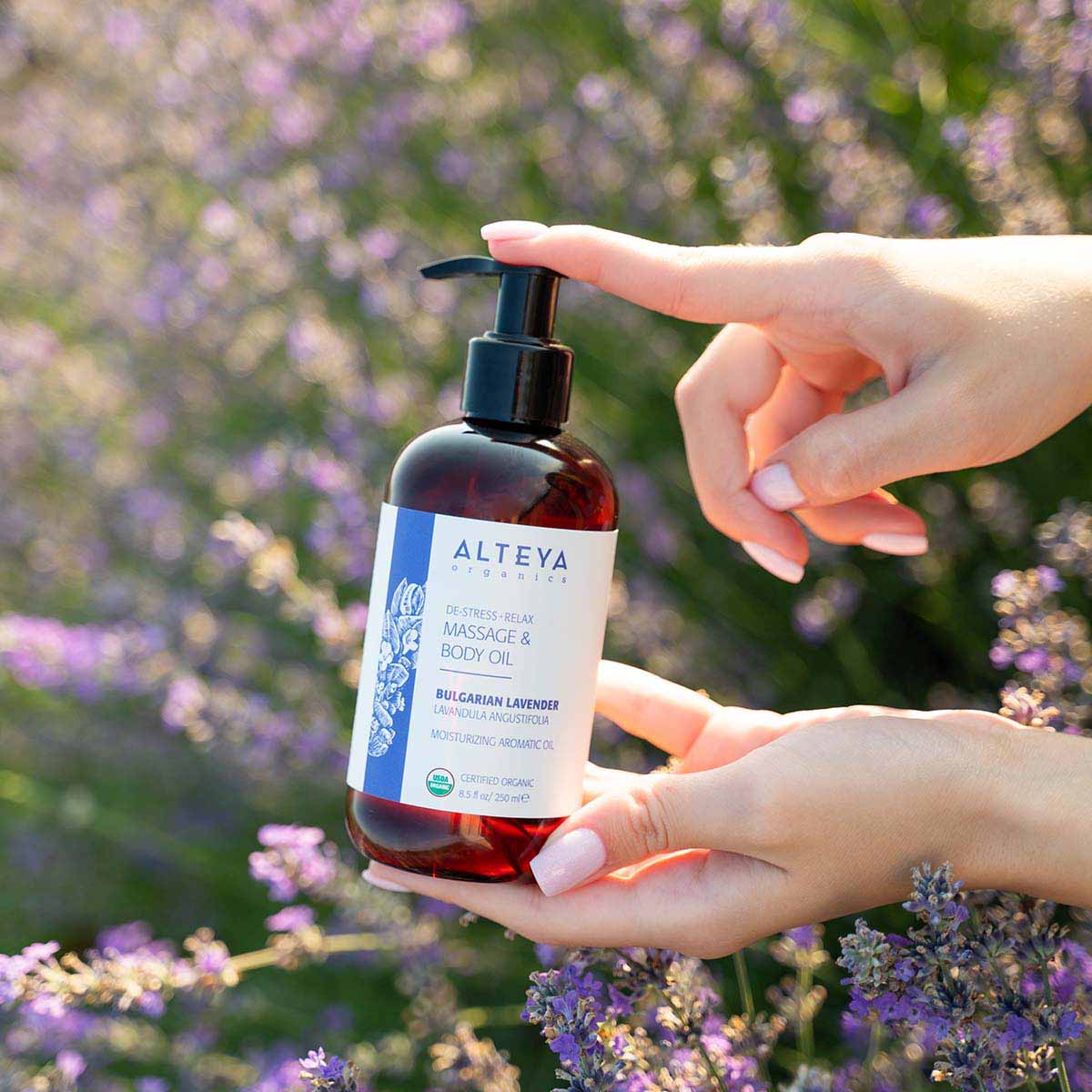 massagae-and-body-oil-bulgarian-lavender-in-lavender-fields-alteya-organics