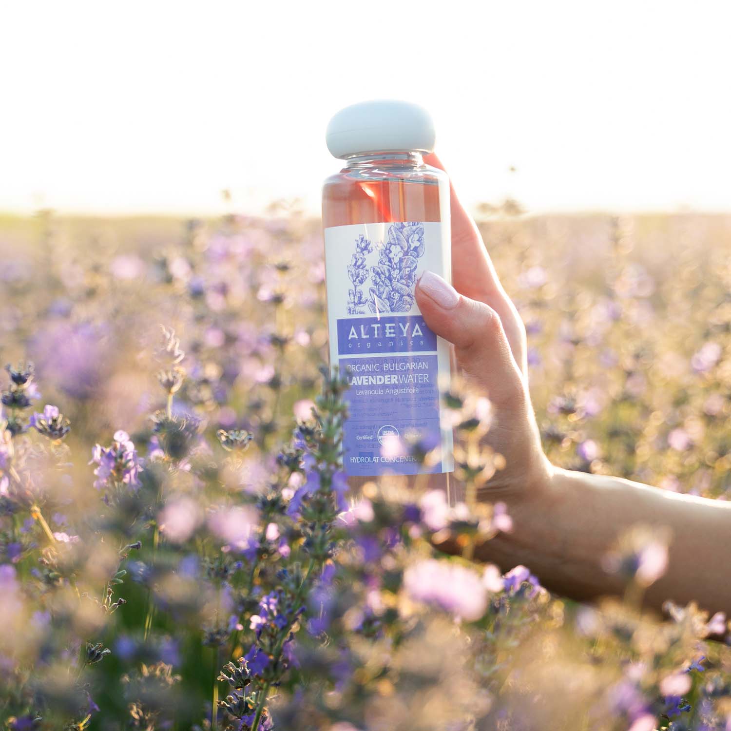 organic lavender water