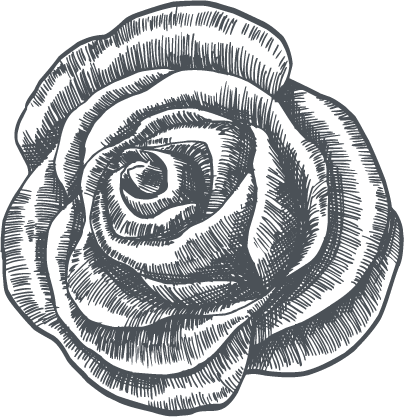 logo rosa