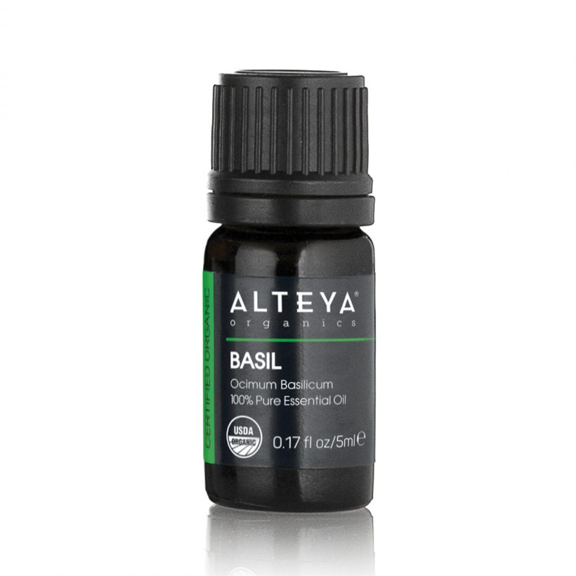 The essential oil distilled from the leaves of Ocimum basillicum plant is also known as Sweet Basil oil.&nbsp; The energizing aroma of Basil oil is known to help mental focus and determination. It can also neutralize unpleasant odors. Diffusion of Basil oil at home could help purify the air, and it is believed that it could help reduce the chances of getting sick. The scent of Basil is quite strong, and it can easily dominate in different aroma blends.